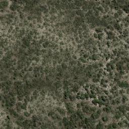 Satellite imagery of Point Whidbey, AU