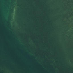 Satellite imagery of Taraere Point, NZ
