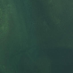 Satellite imagery of Taraere Point, NZ