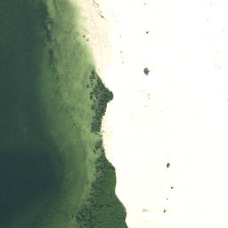 Satellite imagery of Taraere Point, NZ