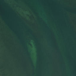 Satellite imagery of Taraere Point, NZ