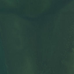Satellite imagery of Taraere Point, NZ