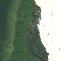 Satellite imagery of Taraere Point, NZ