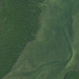 Satellite imagery of Horoiwi Point, NZ