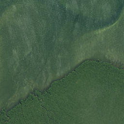Satellite imagery of Horoiwi Point, NZ
