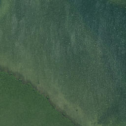Satellite imagery of Horoiwi Point, NZ