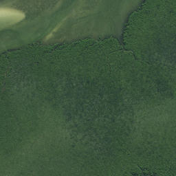 Satellite imagery of Horoiwi Point, NZ
