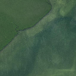Satellite imagery of Horoiwi Point, NZ