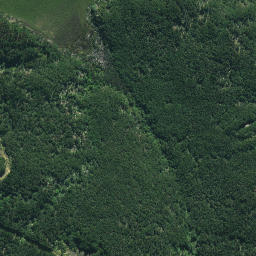 Satellite imagery of Te Karaka Point, NZ
