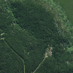 Satellite imagery of Te Karaka Point, NZ