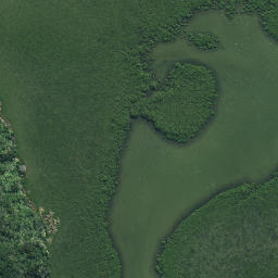 Satellite imagery of Horoiwi Point, NZ