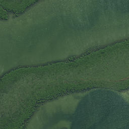 Satellite imagery of Horoiwi Point, NZ