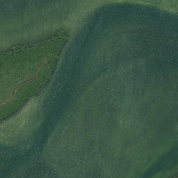 Satellite imagery of Horoiwi Point, NZ