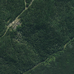 Satellite imagery of Te Karaka Point, NZ