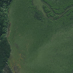 Satellite imagery of Te Karaka Point, NZ