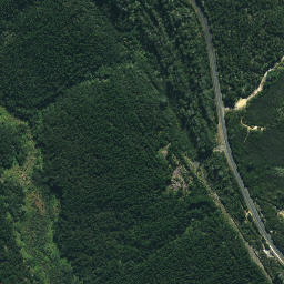 Satellite imagery of Te Karaka Point, NZ