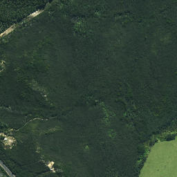 Satellite imagery of Te Karaka Point, NZ