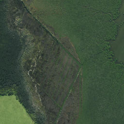 Satellite imagery of Te Karaka Point, NZ