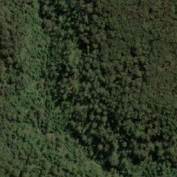 Satellite imagery of Throsby Park Historic Site, AU