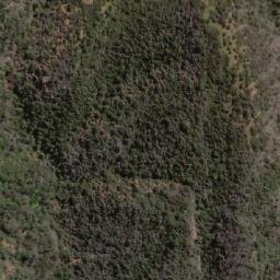 Satellite imagery of Alto de Callihue, CL