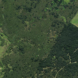 Satellite imagery of RCM 51 SO 62680, NZ
