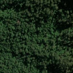 Satellite imagery of Barrengarry Mountain, AU