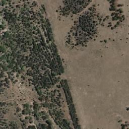 Satellite imagery of Stamford Hill, AU