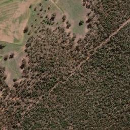Satellite imagery of Mount Bogolong, AU
