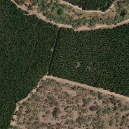 Satellite imagery of Mount Crawford, AU