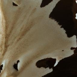 Satellite imagery of Cerro El Rosillo, AR