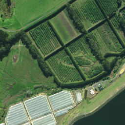 Satellite imagery of RCM 48 SO 62679, NZ