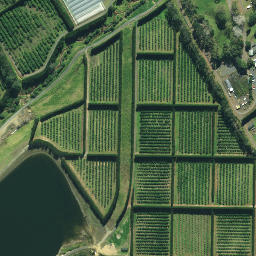 Satellite imagery of RCM 48 SO 62679, NZ