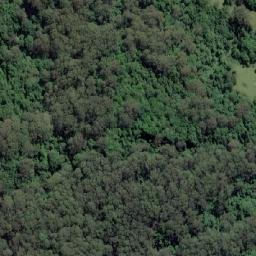 Satellite imagery of Fox Trig, AU