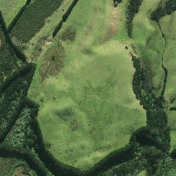 Satellite imagery of RCM 46 SO 62677, NZ