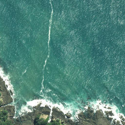 Satellite imagery of Henderson Point, NZ