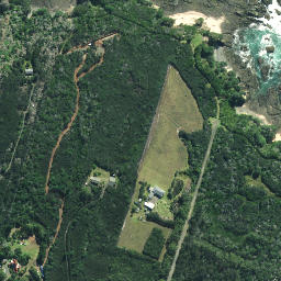 Satellite imagery of Henderson Point, NZ