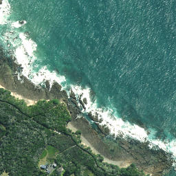 Satellite imagery of Henderson Point, NZ