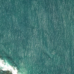 Satellite imagery of Henderson Point, NZ