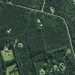 Satellite imagery of Henderson Point, NZ