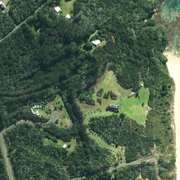 Satellite imagery of Henderson Point, NZ