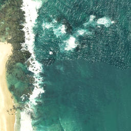 Satellite imagery of Henderson Point, NZ