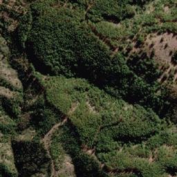 Satellite imagery of Cerro Negro, CL