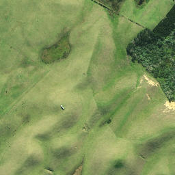 Satellite imagery of 481, NZ