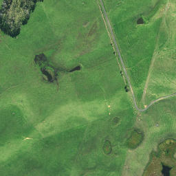 Satellite imagery of Jackson Point, NZ