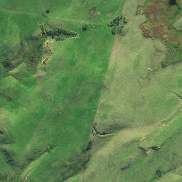 Satellite imagery of Jackson Point, NZ