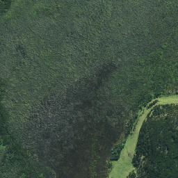 Satellite imagery of 631, NZ