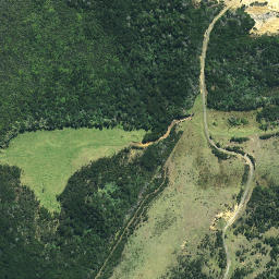 Satellite imagery of 631, NZ