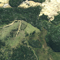 Satellite imagery of 631, NZ