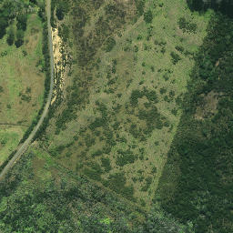 Satellite imagery of 1983 TE RAITE, NZ