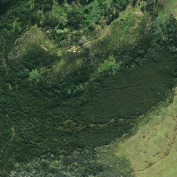 Satellite imagery of 1983 TE RAITE, NZ